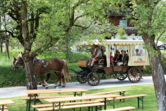 Peter Stegmayr übernimmt beim Kranzlsingen einen Teil des Transportdienstes (2017)